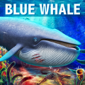 深海蓝鲸模拟新版
