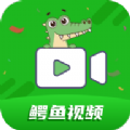 鳄鱼视频免费版