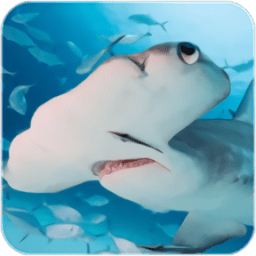 锤头鲨模拟器新版