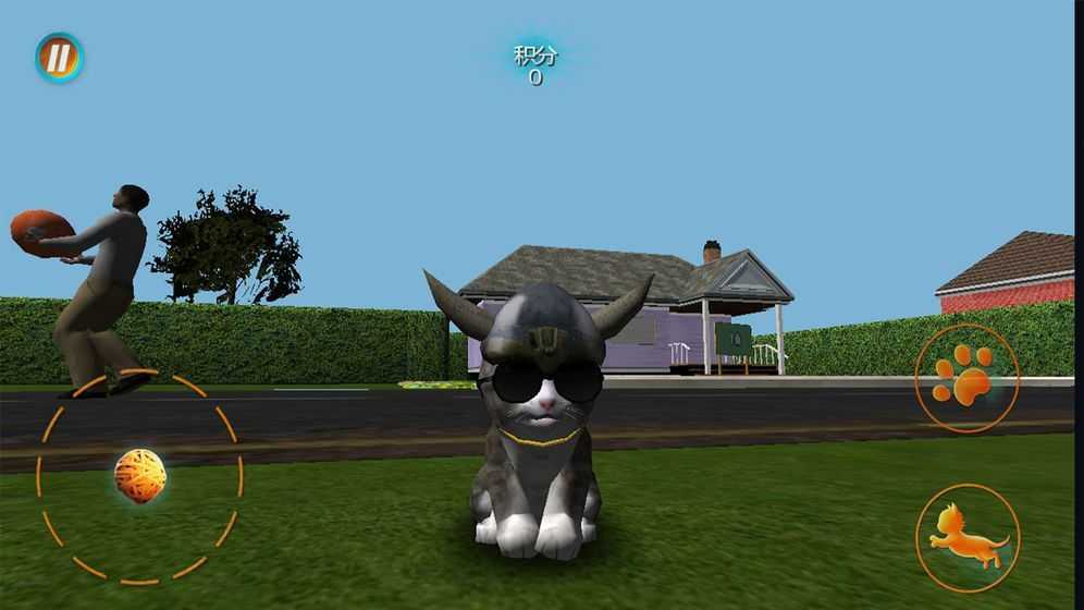 真实小猫3D模拟截图1