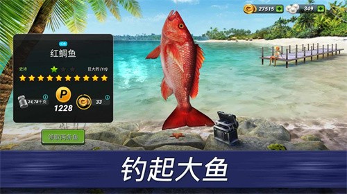 超真实钓鱼模拟器汉化中文版截图3