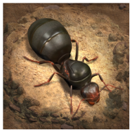 蚂蚁地下王国正式版游戏